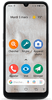 DORO 8100 32Go gris 4G